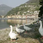 Hotel Hotel Camping Europa