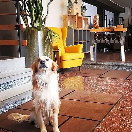 Europa Hotel Domaso