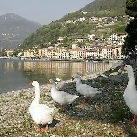 Europa 2* Domaso