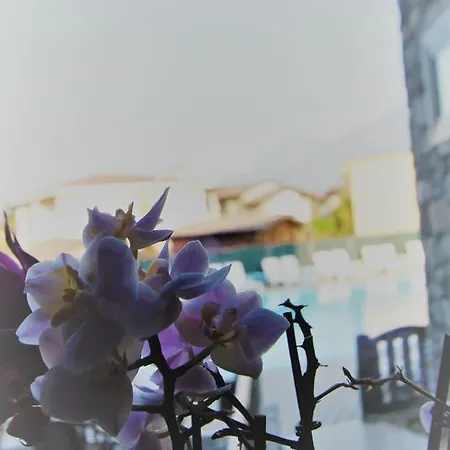 Hotel Europa 2*