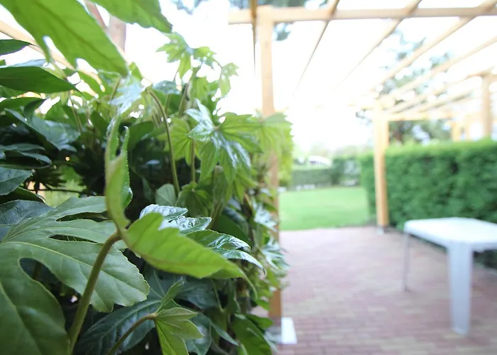 Hotel Camping Europa