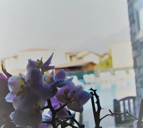 Отель Europa 2*