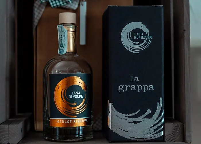 Hotel Camping Europa