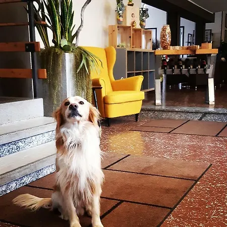 Hotel Europa 2*