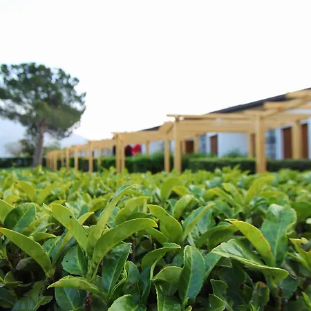 فندق Hotel Camping Europa