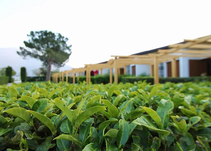 فندق Hotel Camping Europa